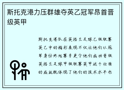 斯托克港力压群雄夺英乙冠军昂首晋级英甲